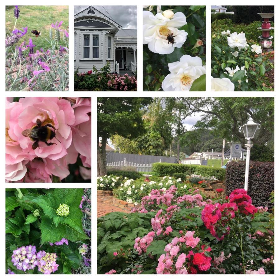 Chelsea House Bed & Breakfast Whangarei Eksteriør bilde